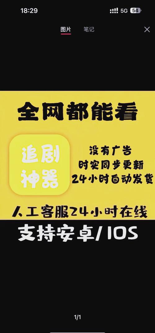 成年人视频app免费下载的相关介绍