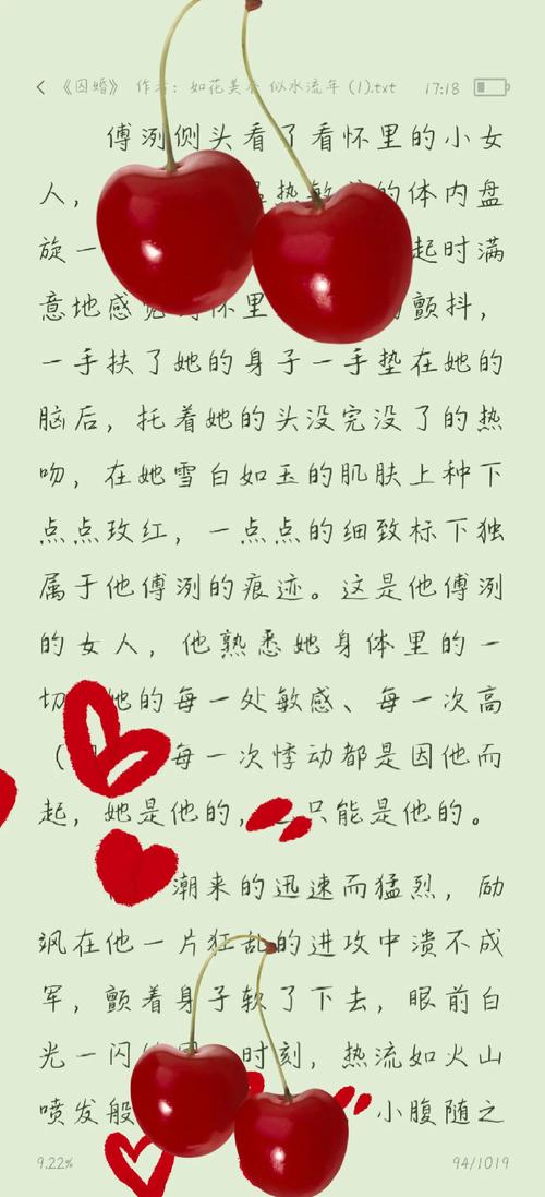 极速影院旧版的相关介绍