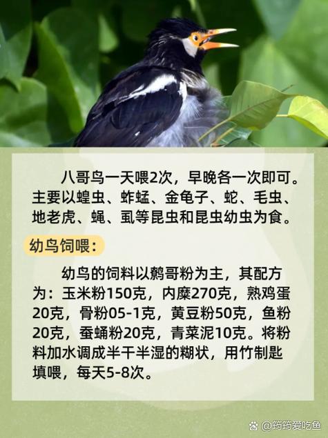 天天在线影院免费高清观影指南，最新热播电影电视剧在线观看无广告