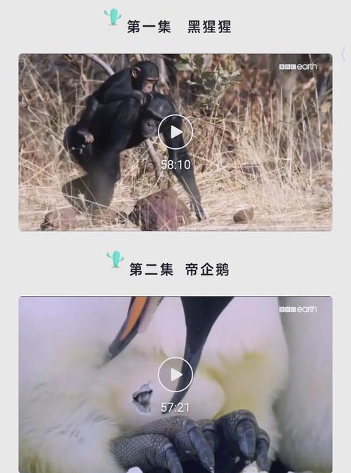 欧美一区二区三区蜜桃臀的相关介绍