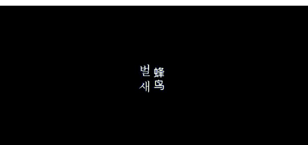 博艺影院的相关介绍