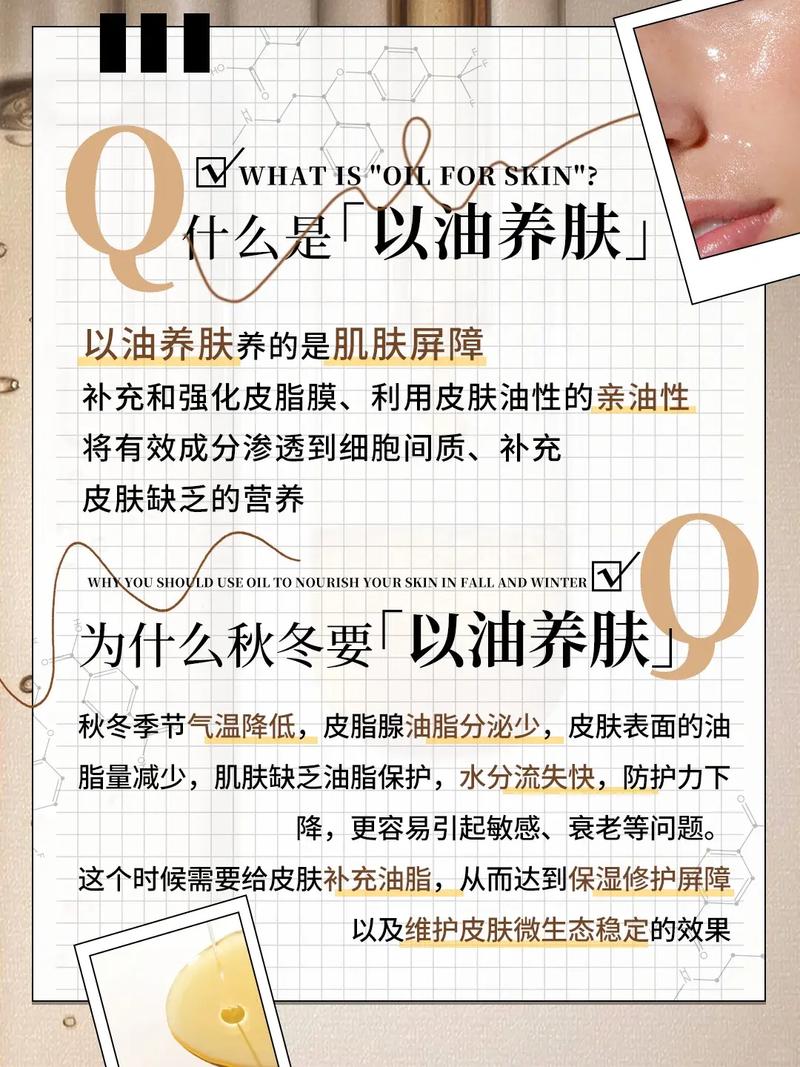 家庭影院装修的相关介绍