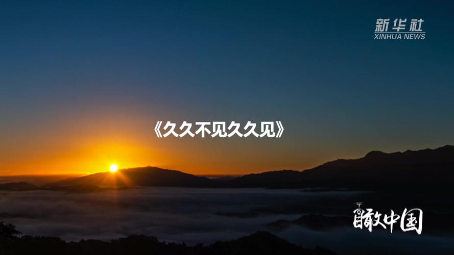 欧美一区二区免费观在线的相关介绍