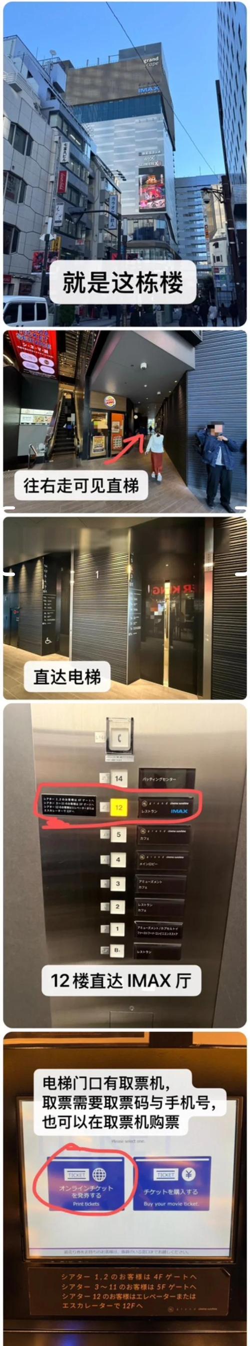 调教(高h)的相关介绍