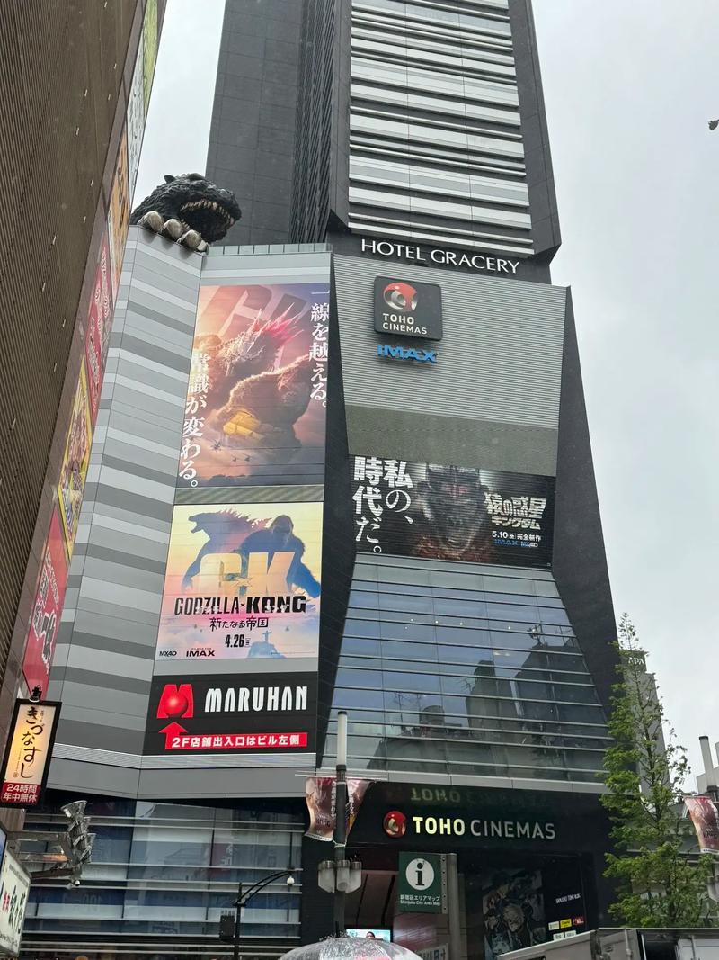 新视觉影院线看第九影院的相关介绍