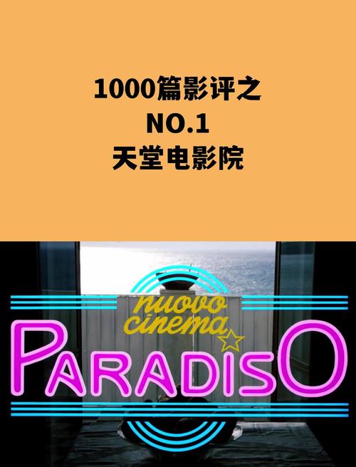 毛片在哪里看的相关介绍