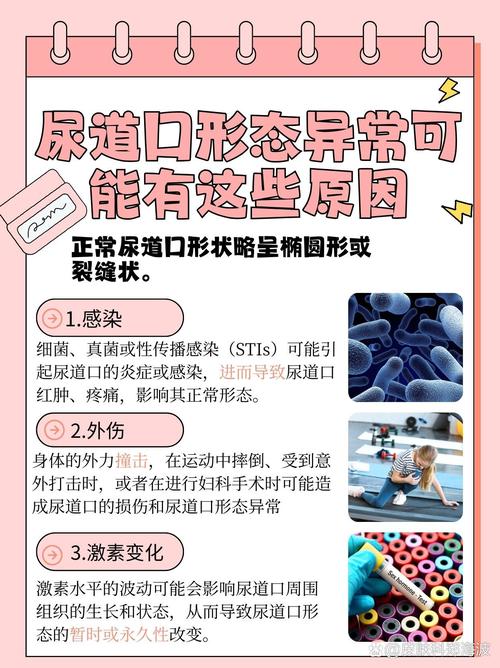 少妇熟女一区二区的相关介绍
