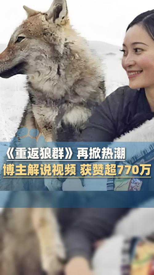 亚洲欧美日韩国产一区二区三区在线的相关介绍
