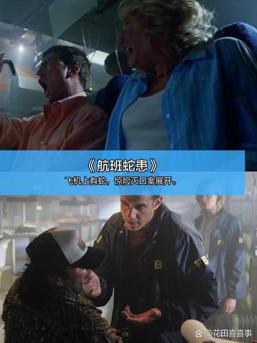 国内av少妇片的相关介绍