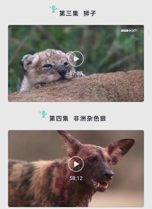 6080新视觉影院双世宠妃2的相关介绍