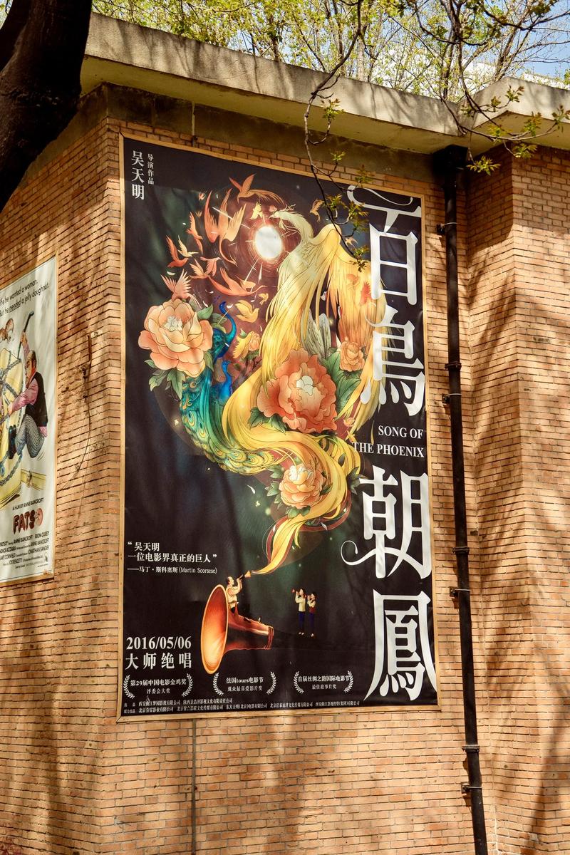 免费看视频app的相关介绍