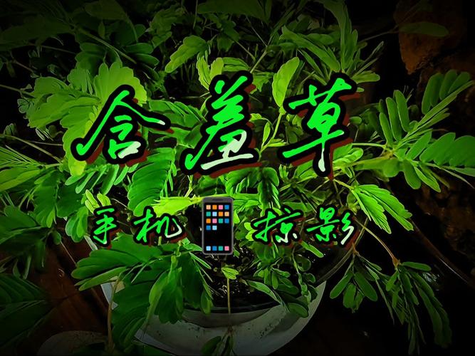 小收影院-首页的相关介绍