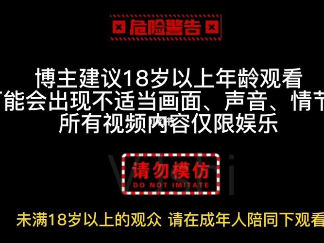 av日本波多的相关介绍