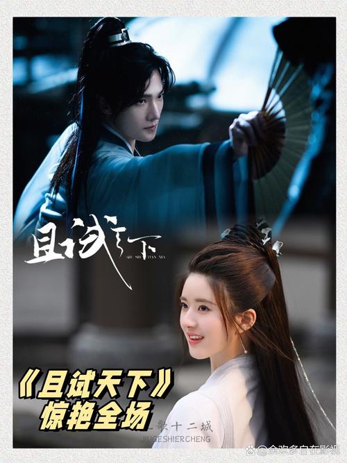 飞扬影院的相关介绍