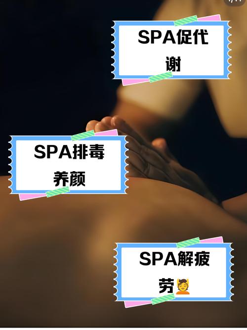 古墓丽影毛片的相关介绍