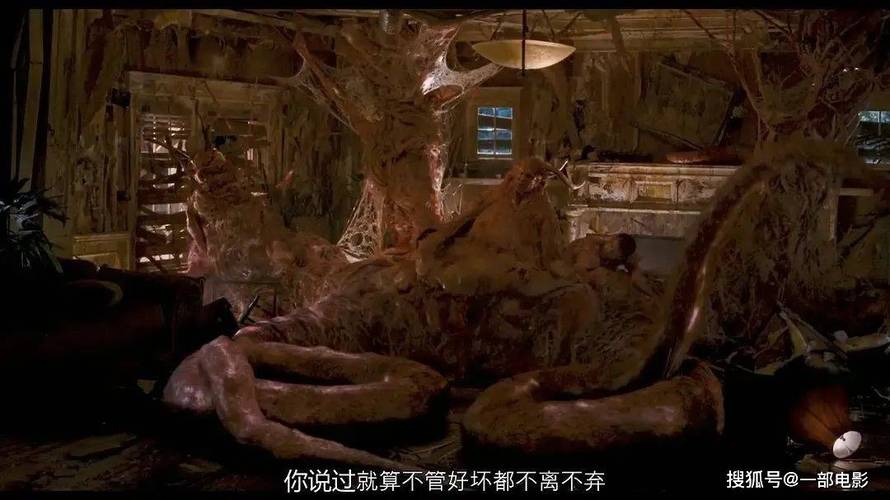 第1影院的相关介绍