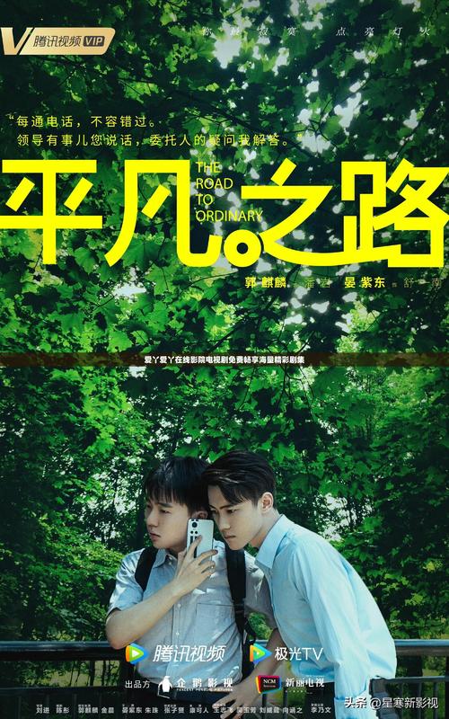 圆房调教(高h,的相关介绍