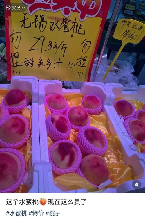 伊人影院香蕉在线观看视频的相关介绍