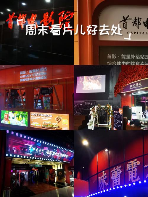 丝av在线的相关介绍