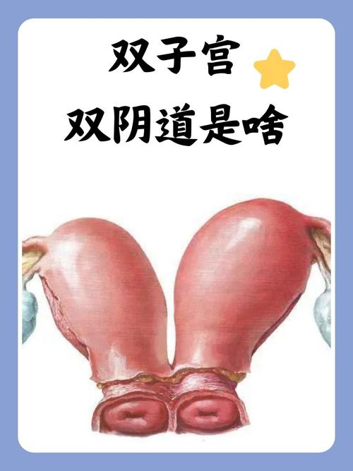 伦理片夫人按摩的相关介绍