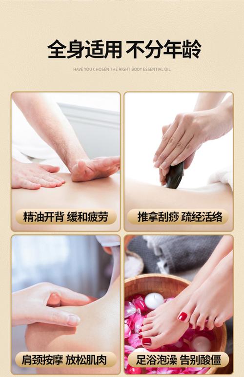 意大利顶级伦理片的相关介绍