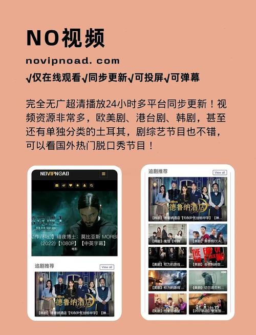 网上影院的相关介绍