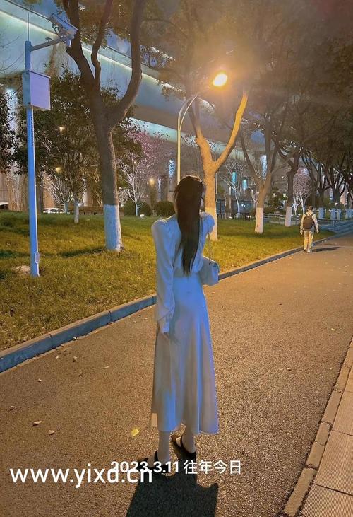 午夜影院在线观看的相关介绍