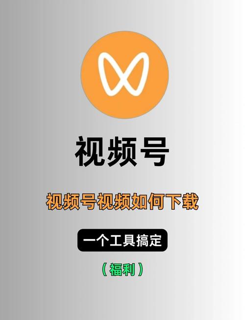 日照电影院的相关介绍
