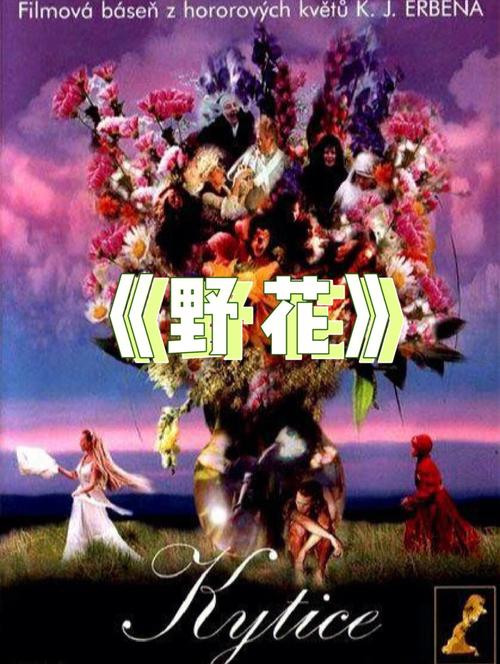 芒果电影院的相关介绍