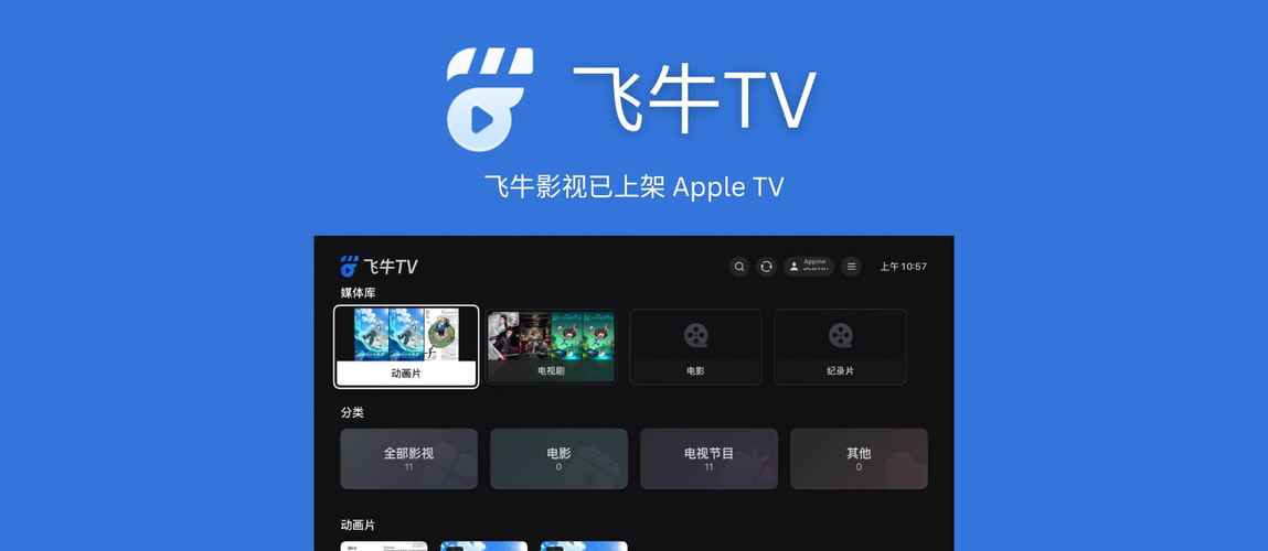 丰满卖淫伦理片的相关介绍
