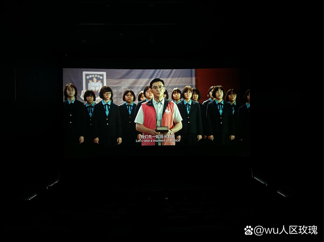 湛江电影院的相关介绍