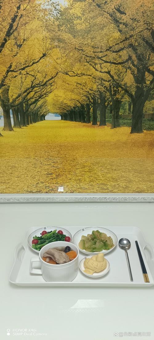 欧美极品一区二区三区久久久的相关介绍