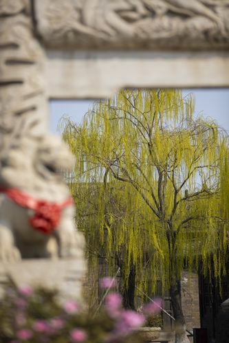 yy4470私人影院的相关介绍