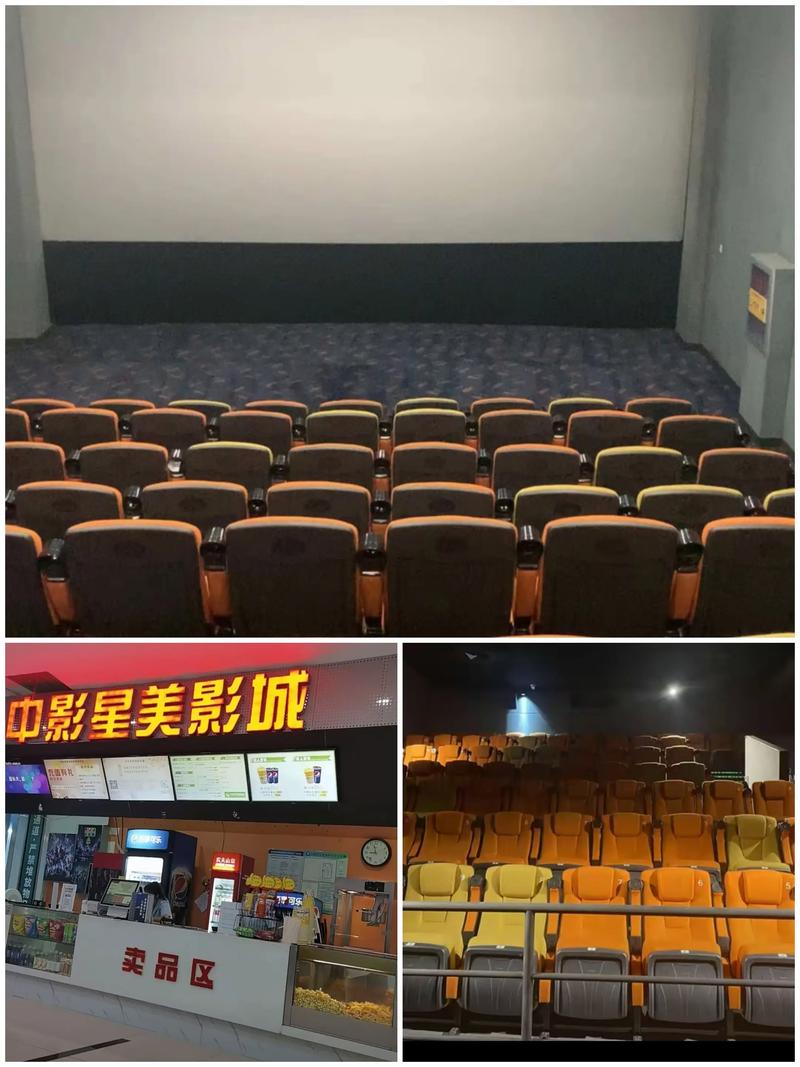 视频资源下载app的相关介绍