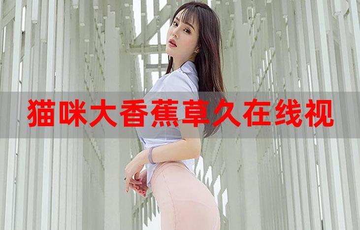新世纪影院的相关介绍