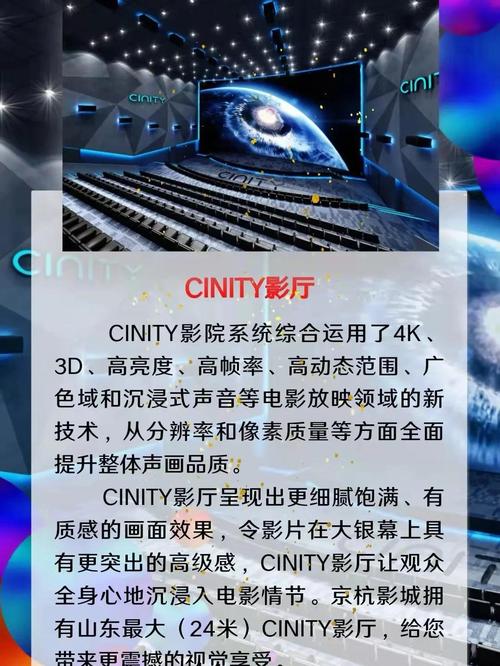 91精品久久久久久久久不卡网站的相关介绍