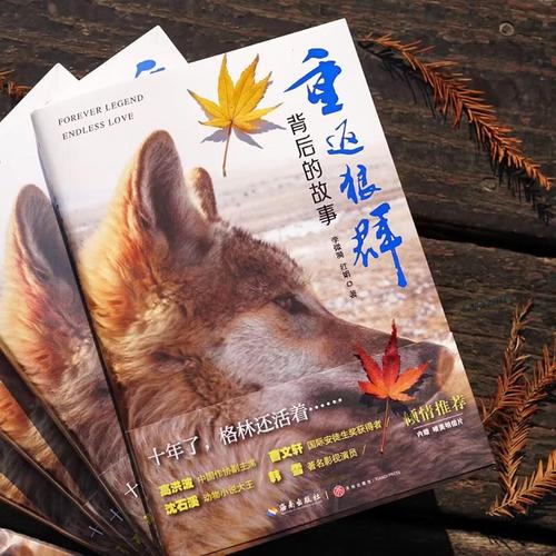 欧美日韩黄色一区二区的相关介绍