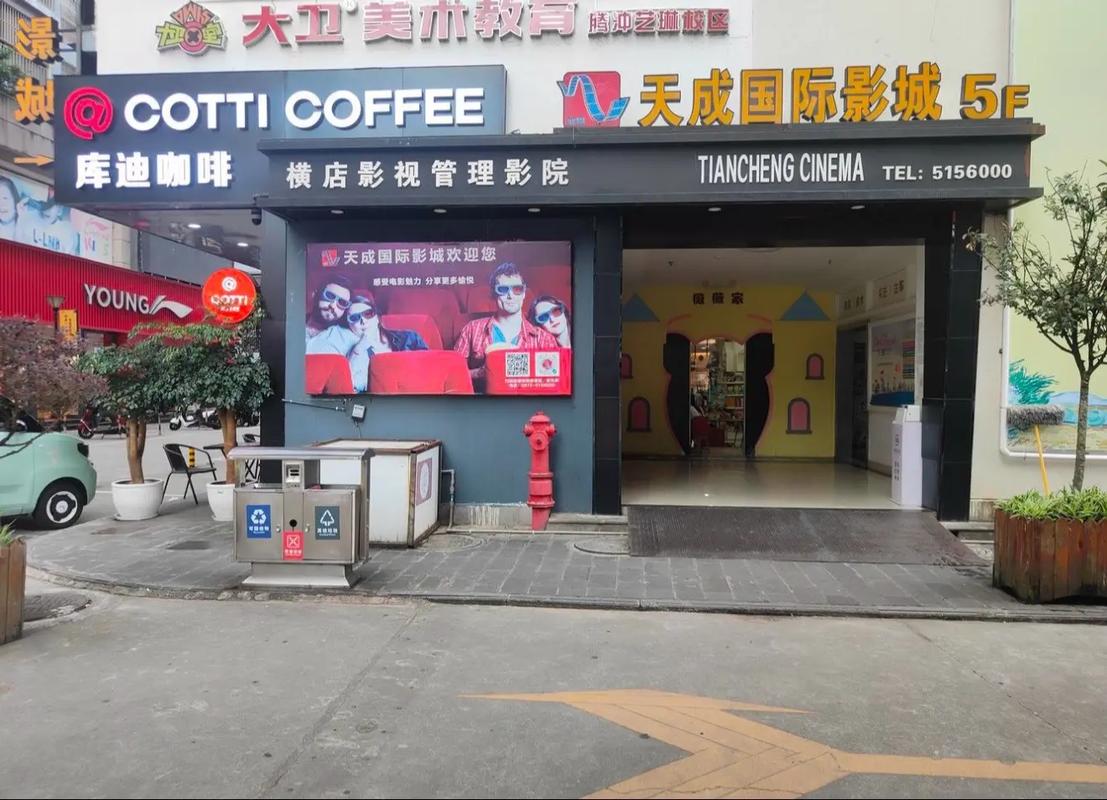 大陆少妇毛片的相关介绍