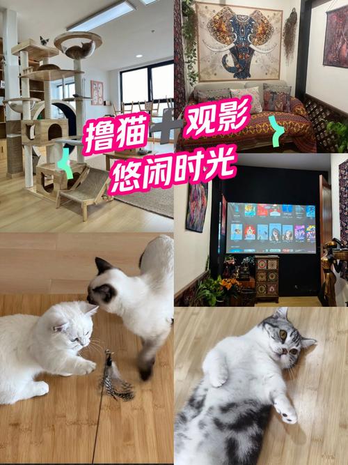 大尺度国产精品毛片的相关介绍