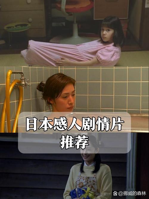 www.毛片在线看的相关介绍