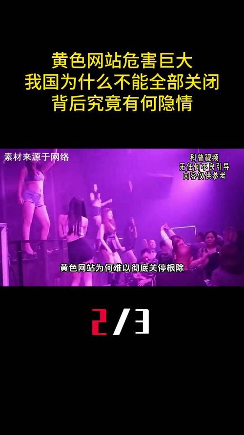 欧美在线成人潮喷的相关介绍
