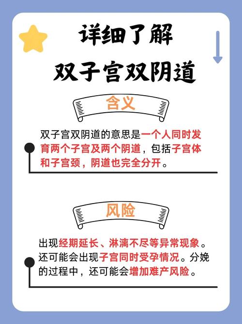 男女大尺度视频在线看的相关介绍