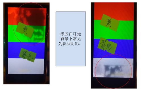 操美女白的相关介绍