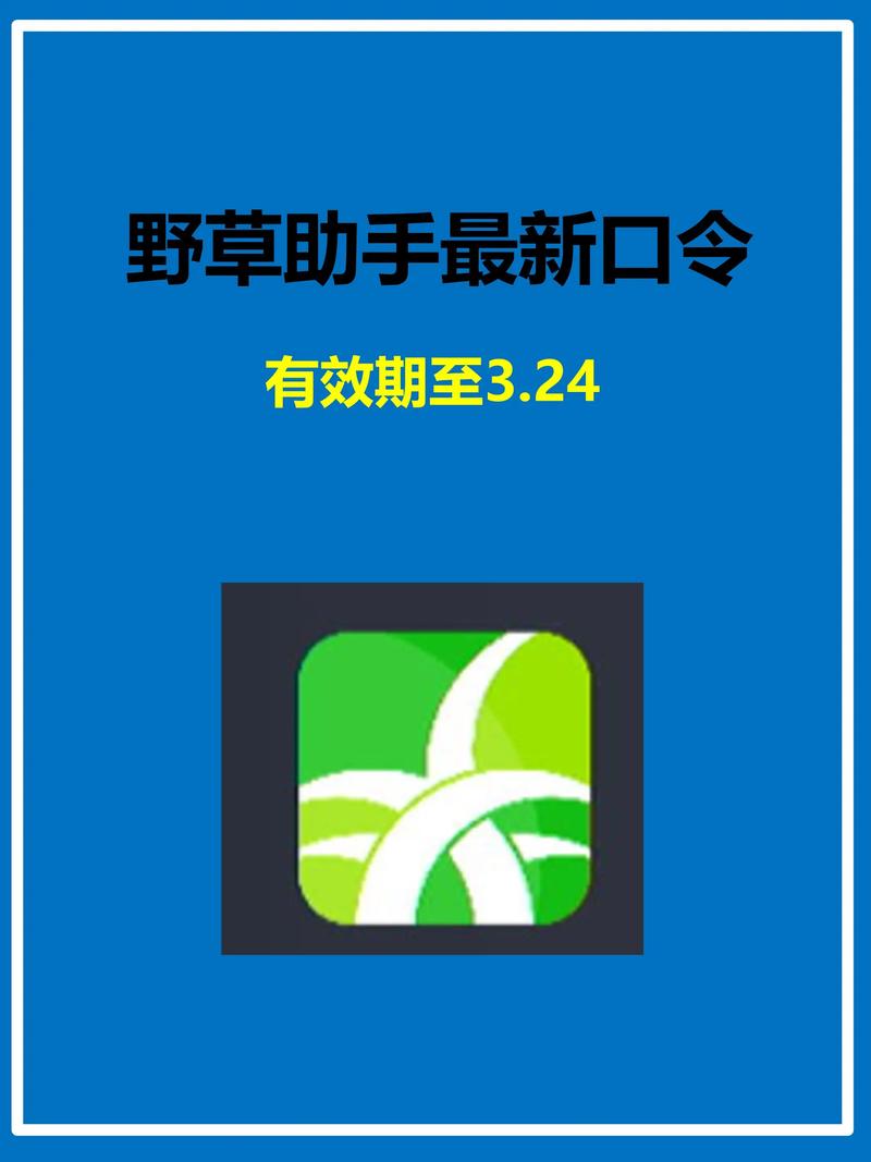 国产美女操大逼的相关介绍