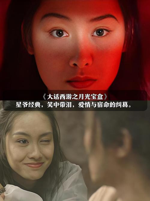 yy8848高清私人影院的相关介绍
