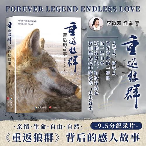 av福利院毛片的相关介绍