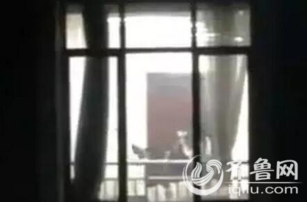 色七七影院的相关介绍