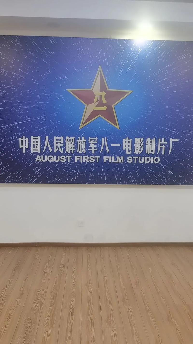 飞鸿影院的相关介绍