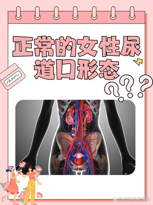 动漫女搞黄的相关介绍